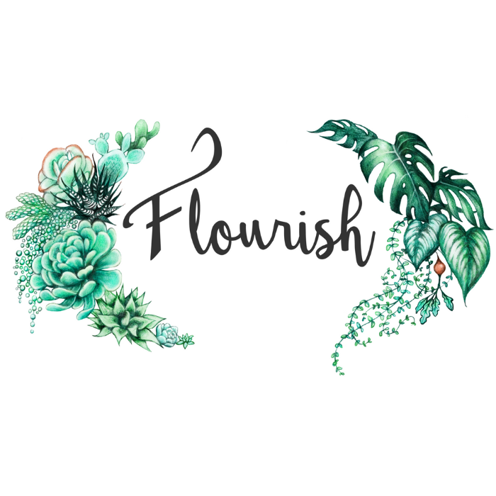 Succulent Terrarium