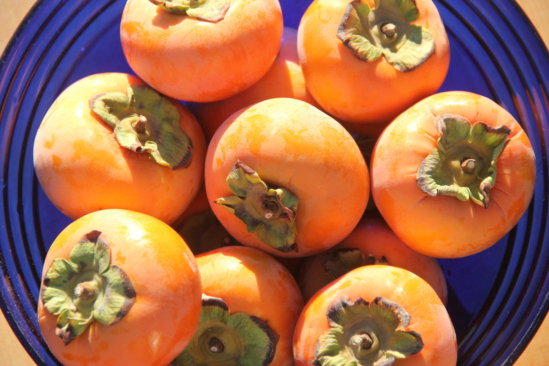 Fall Foods Workshop update & NEW class alert