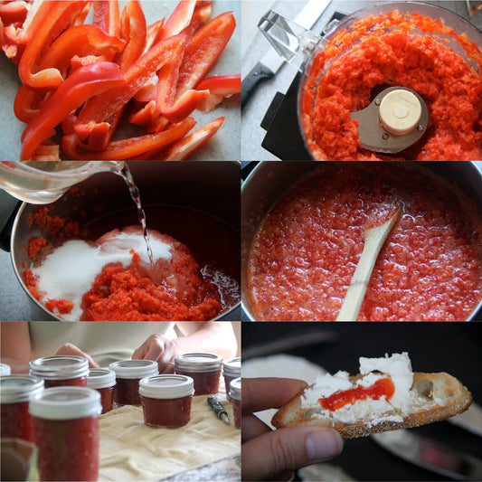 Steps to make sweet red pepper jelly: sliced peppers, food processor, simmering jelly, and finished jars for holiday gifts.